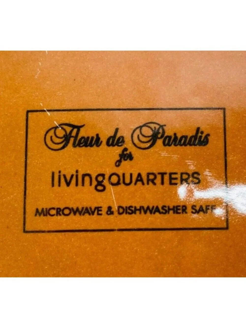 Living Quaters FLEUR DE PARADIS Red Hibiscus Ceramic Lunch Salad Plates Set 4